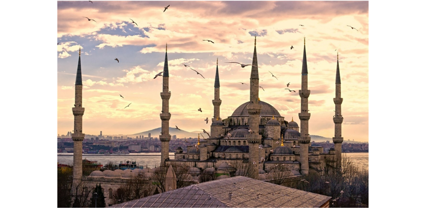 Hakkımızda