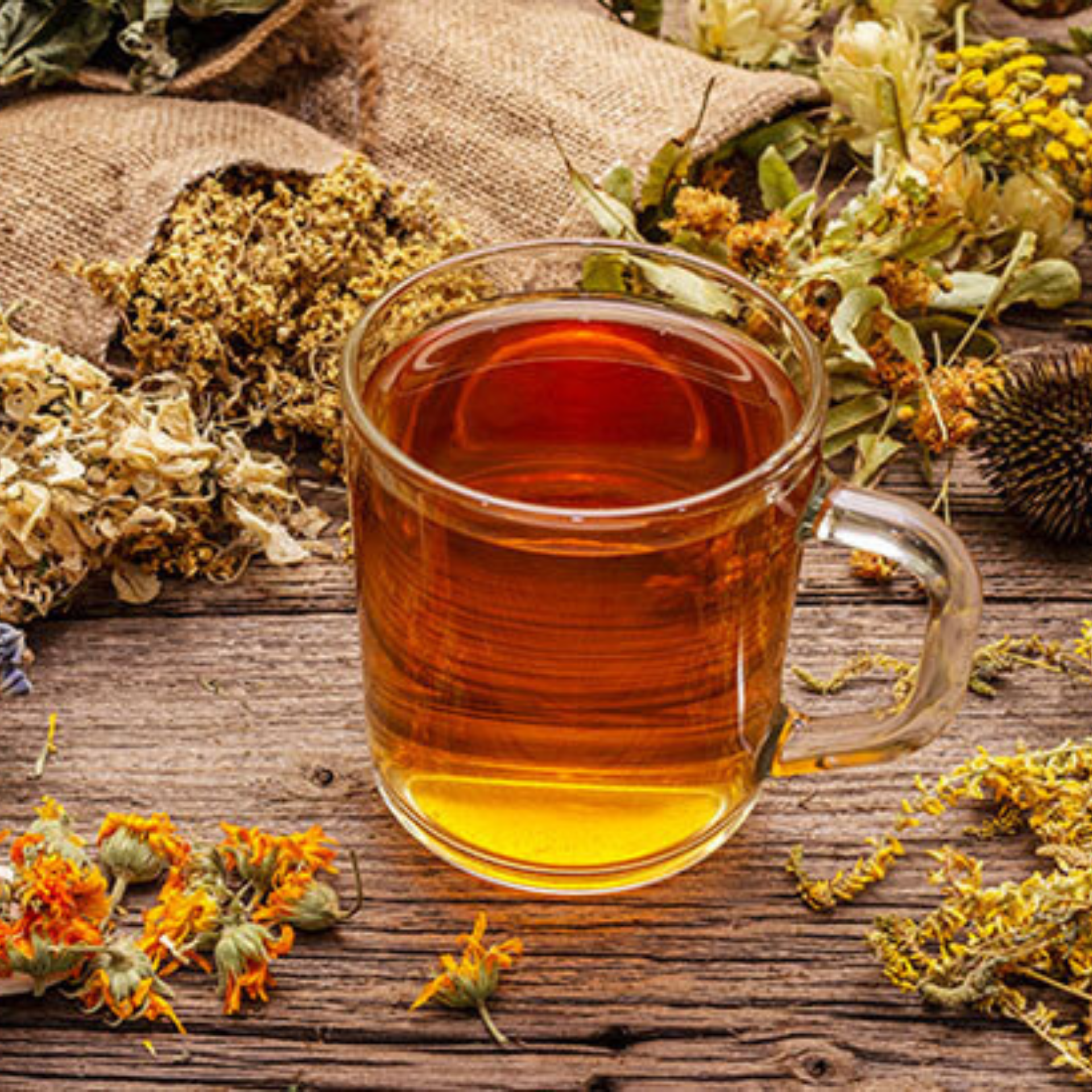 Bitki Çayı/Herbal Tea/Kräutertee/té de hierbas/شاي الأعشاب